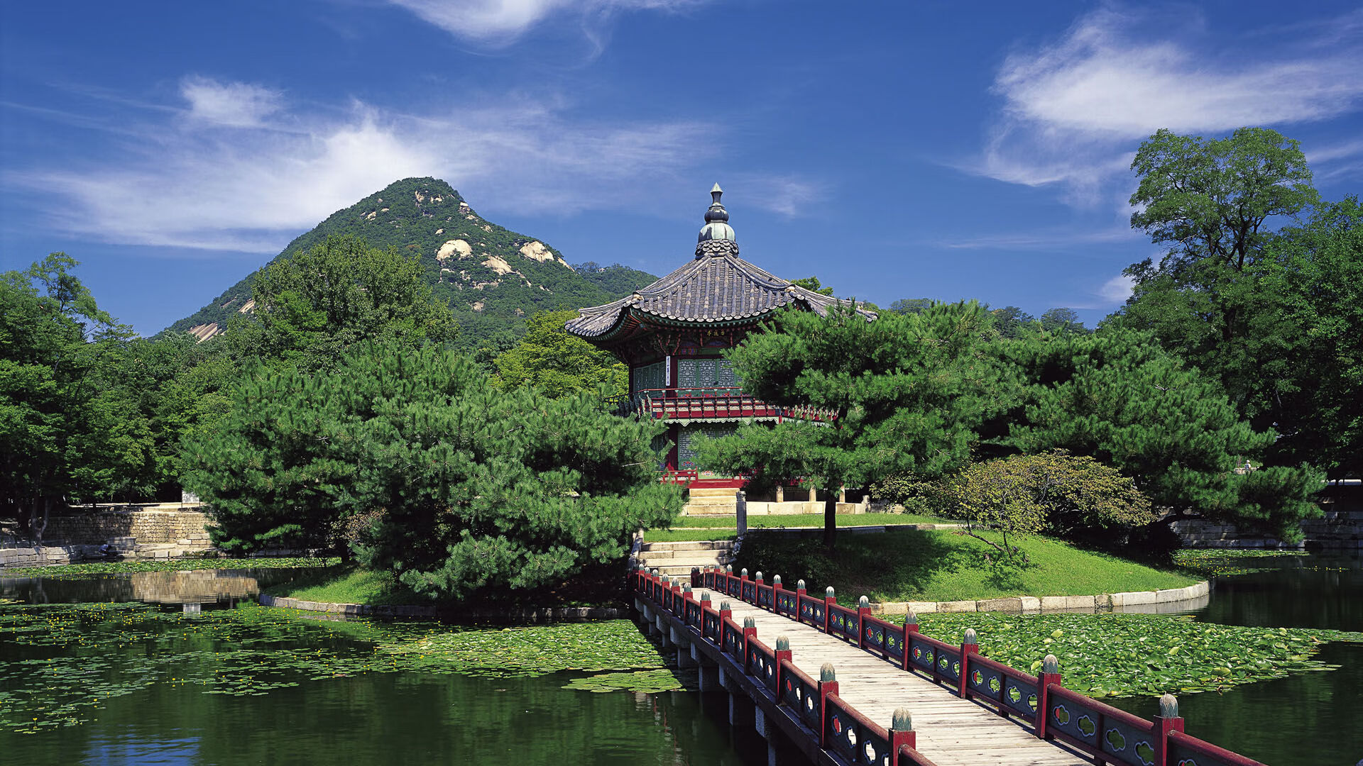 威尔士橄榄球赛事成为全球品牌合作新平台，威尔士输球