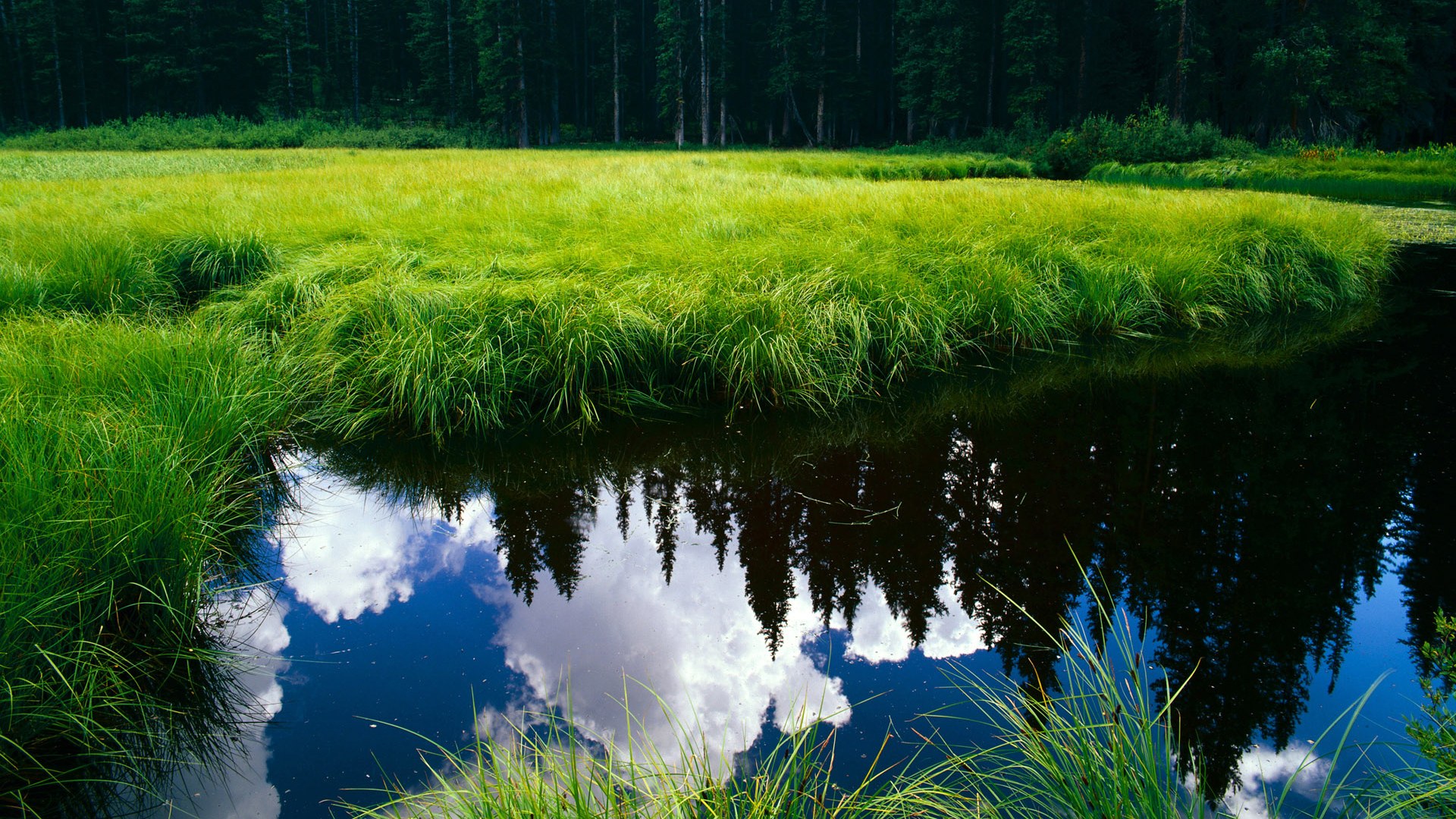 比赛结果引发外界争议官方表态呼吁理性看待裁判判罚,比赛裁判不公平怎么办